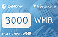 3000 WMR